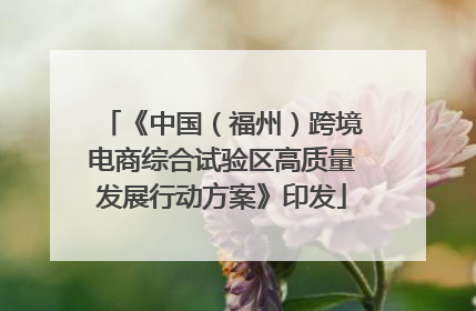 《中国（福州）跨境电商综合试验区高质量发展行动方案》印发