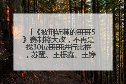 《披荆斩棘的哥哥5》赛制将大改，不再是找30位哥哥进行比拼，苏醒、王栎鑫、王铮亮、张远等多名男团选手被曝将参加