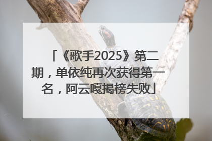 《歌手2025》第二期，单依纯再次获得第一名，阿云嘎揭榜失败