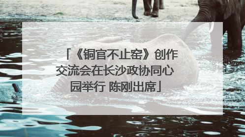 《铜官不止窑》创作交流会在长沙政协同心园举行 陈刚出席