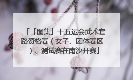 「图集」十五运会武术套路资格赛（女子、团体赛区）、测试赛在南沙开赛