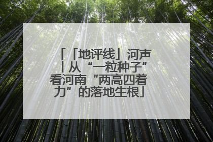 「地评线」河声丨从“一粒种子”看河南“两高四着力”的落地生根