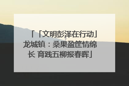 「文明彭泽在行动」龙城镇：桑果盈筐情绵长 育践五柳报春晖