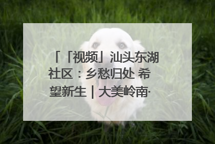 「视频」汕头东湖社区：乡愁归处 希望新生｜大美岭南·百村焕新记