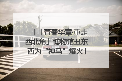 「青春华章·重走西北角」博物馆丑东西为“神马”爆火