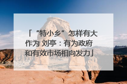 “特小乡”怎样有大作为 刘亭：有为政府和有效市场相向发力