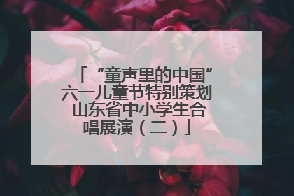 “童声里的中国”六一儿童节特别策划 山东省中小学生合唱展演（二）