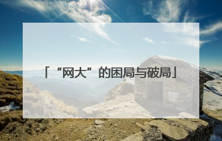 “网大”的困局与破局