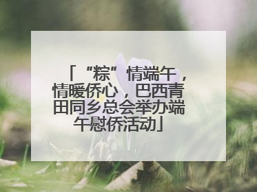 “粽”情端午，情暖侨心，巴西青田同乡总会举办端午慰侨活动