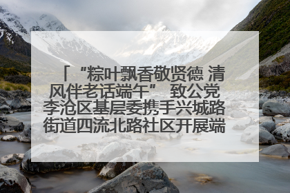 “粽叶飘香敬贤德 清风伴老话端午” 致公党李沧区基层委携手兴城路街道四流北路社区开展端午节主题活动
