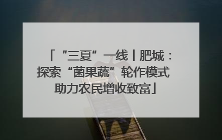 “三夏”一线丨肥城：探索“菌果蔬”轮作模式 助力农民增收致富