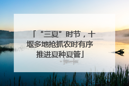 “三夏”时节，十堰多地抢抓农时有序推进夏种夏管