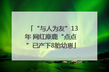 “与人为友”13年 网红麋鹿“点点”已产下8胎幼崽