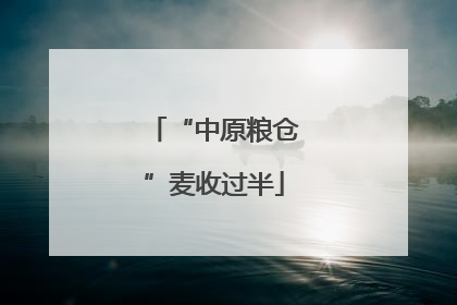 “中原粮仓”麦收过半