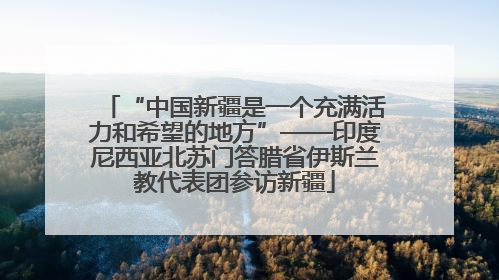 “中国新疆是一个充满活力和希望的地方”——印度尼西亚北苏门答腊省伊斯兰教代表团参访新疆