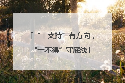 “十支持”有方向，“十不得”守底线