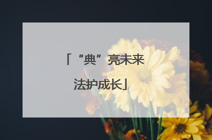 “典”亮未来 法护成长