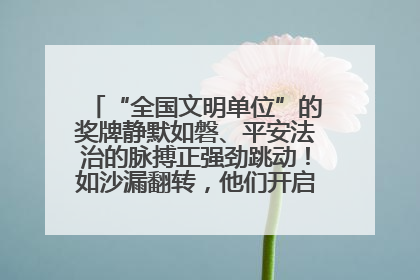 “全国文明单位”的奖牌静默如磐、平安法治的脉搏正强劲跳动！如沙漏翻转，他们开启了全新的计时