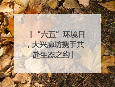 “六五”环境日，大兴廊坊携手共赴生态之约