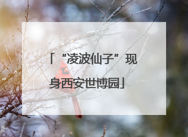 “凌波仙子”现身西安世博园