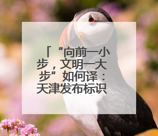 “向前一小步，文明一大步”如何译：天津发布标识英文译写规范迎上合峰会