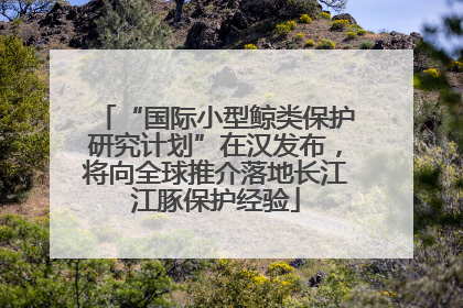 “国际小型鲸类保护研究计划”在汉发布，将向全球推介落地长江江豚保护经验