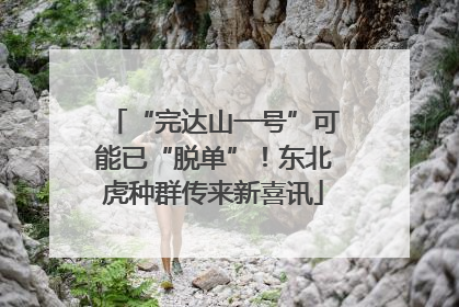 “完达山一号”可能已“脱单”！东北虎种群传来新喜讯