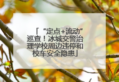 “定点+流动”巡查！冰城交警治理学校周边违停和校车安全隐患