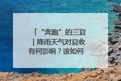 “奔跑”的三夏｜降雨天气对夏收有何影响？该如何防范？一文了解
