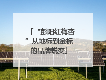 “彭阳红梅杏”从地标到金标的品牌蜕变
