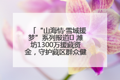 “山海情·雪域援梦”系列报道⑪ 潍坊1300万援藏资金，守护藏区群众健康“最后一公里”