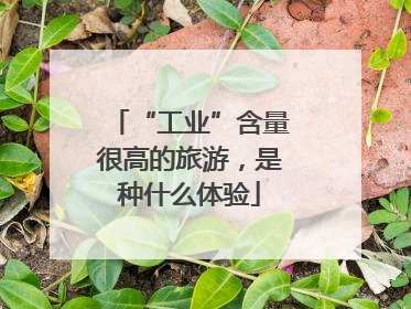 “工业”含量很高的旅游，是种什么体验