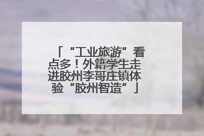 “工业旅游”看点多！外籍学生走进胶州李哥庄镇体验“胶州智造”