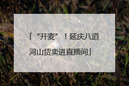 “开麦”！延庆八道河山货卖进直播间