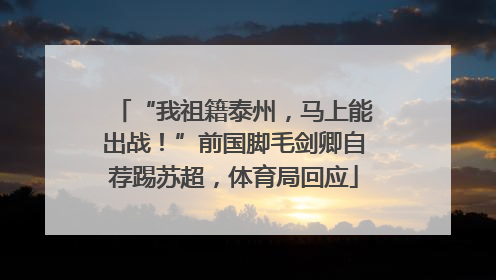 “我祖籍泰州，马上能出战！”前国脚毛剑卿自荐踢苏超，体育局回应
