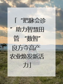 “把脉会诊”助力智慧田管 “数智”良方夺高产 农业焕发新活力