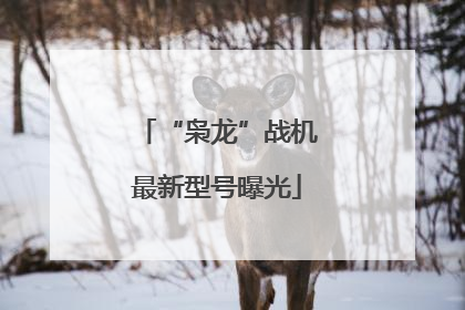 “枭龙”战机最新型号曝光