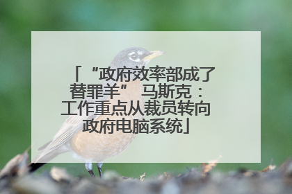 “政府效率部成了替罪羊” 马斯克：工作重点从裁员转向政府电脑系统