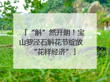“斛”然开朗！宝山罗泾石斛花节绽放“花样经济”
