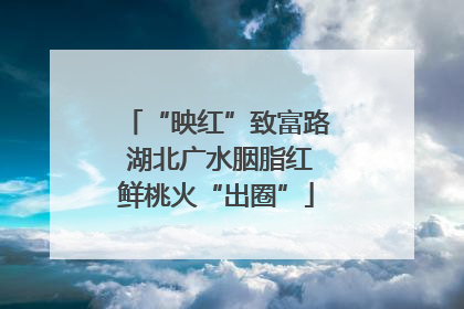 “映红”致富路 湖北广水胭脂红鲜桃火“出圈”
