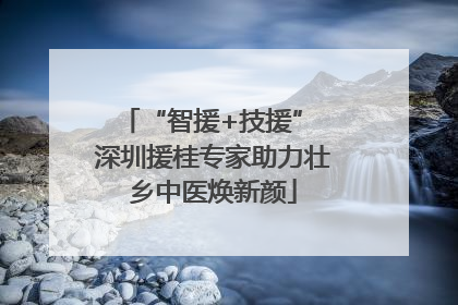“智援+技援” 深圳援桂专家助力壮乡中医焕新颜