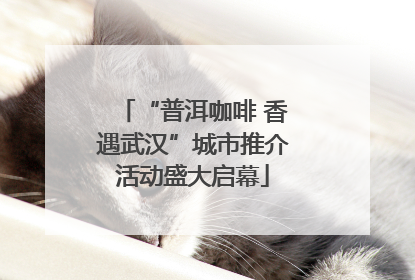 “普洱咖啡 香遇武汉”城市推介活动盛大启幕