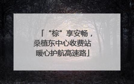 “棕”享安畅，桑植东中心收费站暖心护航高速路