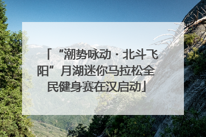 “潮势咏动・北斗飞阳”月湖迷你马拉松全民健身赛在汉启动