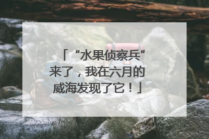 “水果侦察兵”来了，我在六月的威海发现了它！