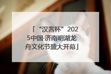 “汉酱杯”2025中国·济南明湖龙舟文化节盛大开幕