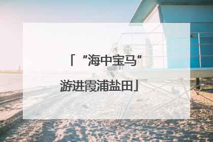 “海中宝马”游进霞浦盐田