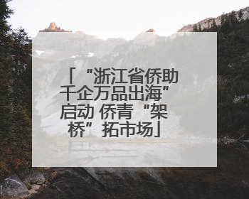 “浙江省侨助千企万品出海”启动 侨青“架桥”拓市场