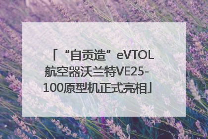 “自贡造”eVTOL航空器沃兰特VE25-100原型机正式亮相