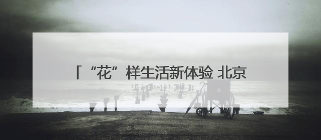 “花”样生活新体验 北京大兴区让月季走进日常生活